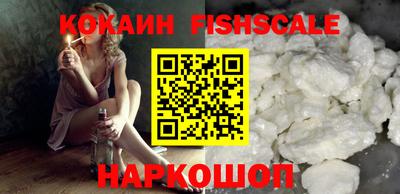 индика Кингисепп