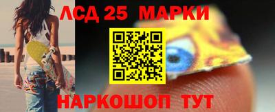 индика Кингисепп