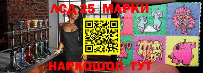 индика Кингисепп