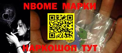 индика Кингисепп