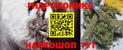 индика Кингисепп