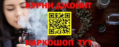 индика Кингисепп