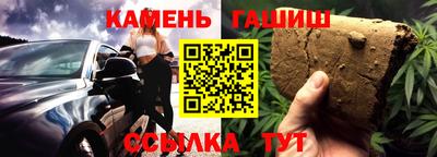 индика Кингисепп