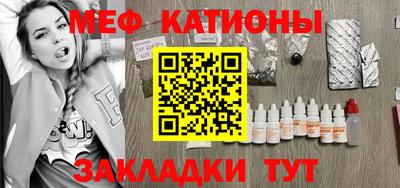 индика Кингисепп