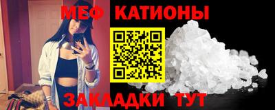 индика Кингисепп